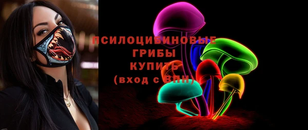 бошки Каменка