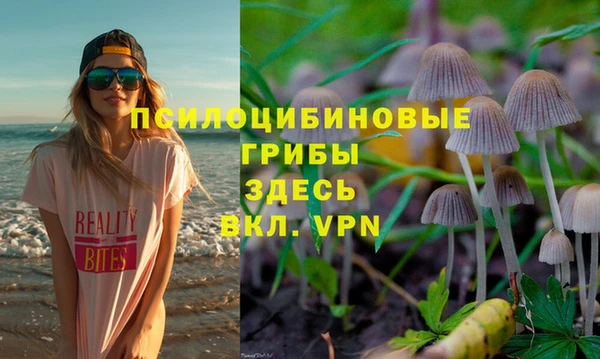бошки Каменка