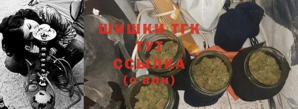 бошки Каменка