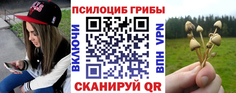 kraken ONION  Тюкалинск  Псилоцибиновые грибы ЛСД 